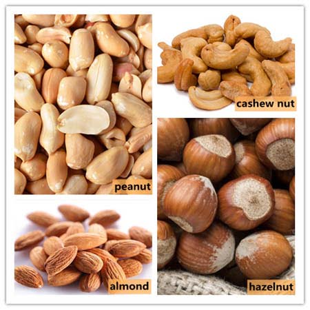 Cashew nut roaster application